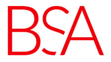 Final BSA LS Logo